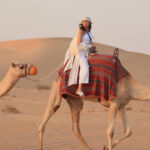 Morning Desert Safari whatsapp image 2025 09 18 at 8.05.33 pm