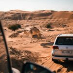 Hatta Mountain Safari sander traa lzp 7ce3fo4 unsplash